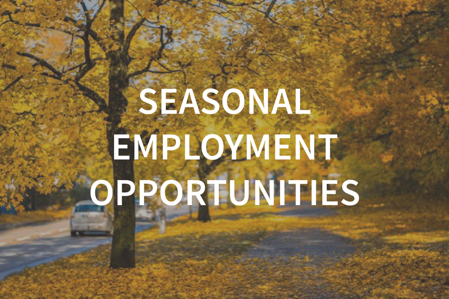 Seasonal Jobs in America - Thabucy Jobs